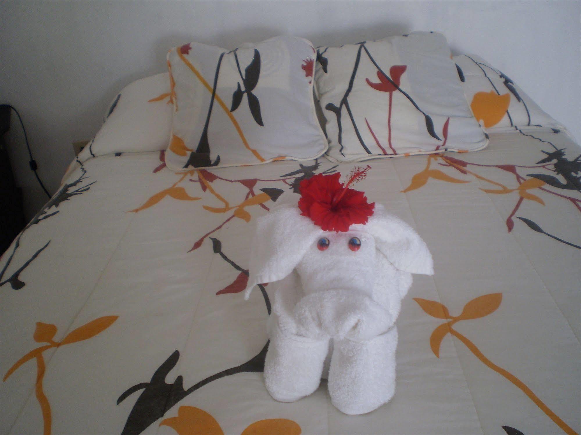 Hotel La Gran Tortuga - ᯤ Starlink Puerto Villamil Ngoại thất bức ảnh