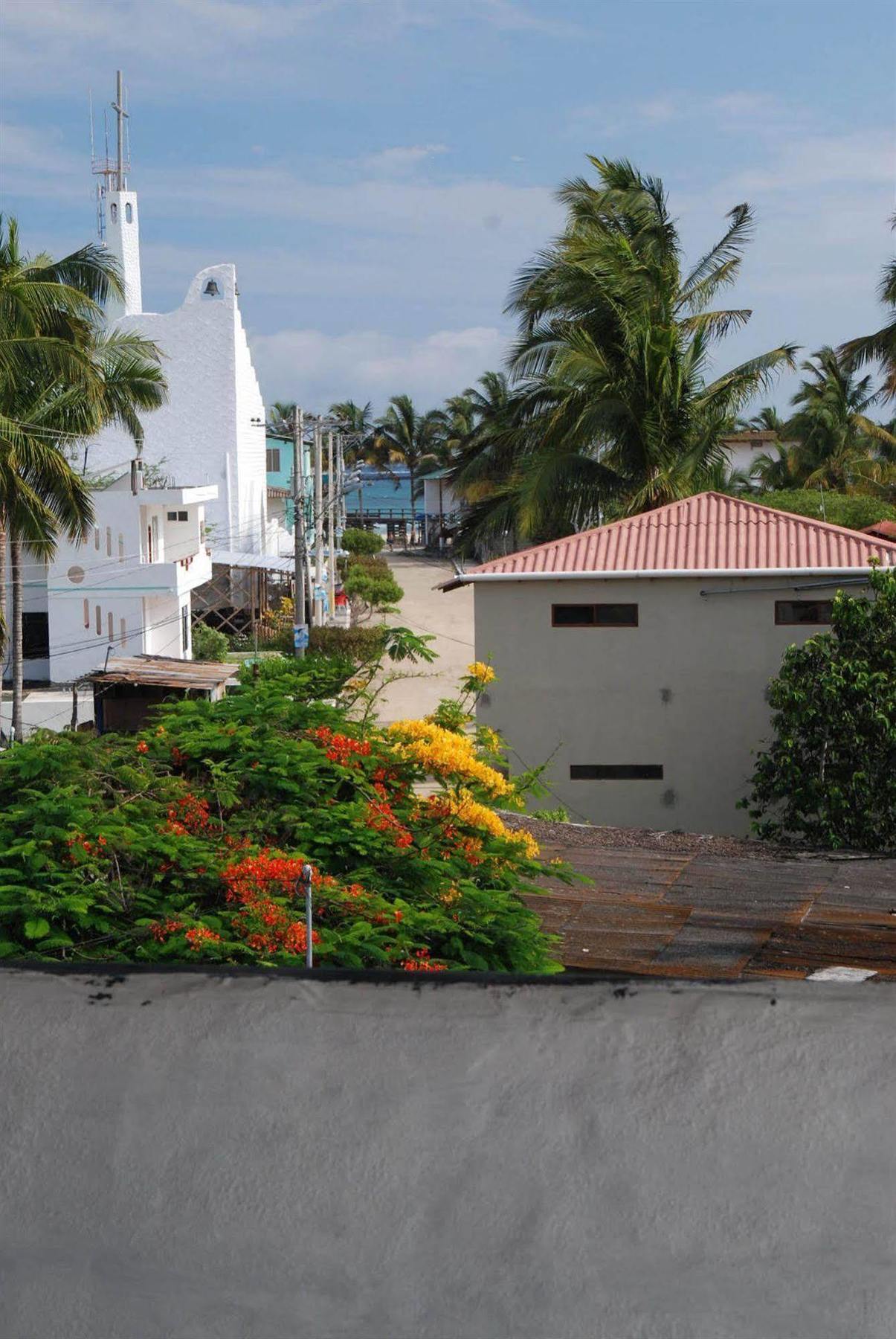 Hotel La Gran Tortuga - ᯤ Starlink Puerto Villamil Ngoại thất bức ảnh